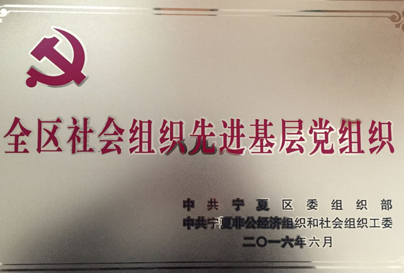 全區(qū)社會組織先進基層黨組織