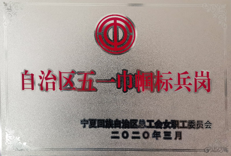 自治區五一巾幗標兵崗
